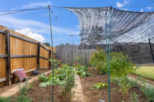 Real Estate Media Backyard Vegetable Garden